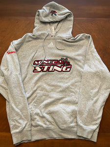 Vintage Adidas Seneca Sting Mid Logo Hoodie Size Medium